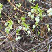 ヒメ日記 2025/05/05 06:47 投稿 あの 栃木♂風俗の神様宇都宮店