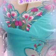 ヒメ日記 2025/05/02 17:19 投稿 かお 香川高松ちゃんこ