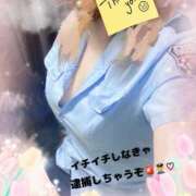 ヒメ日記 2025/05/07 15:29 投稿 かお 香川高松ちゃんこ