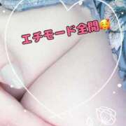 ヒメ日記 2025/05/14 15:29 投稿 かお 香川高松ちゃんこ