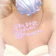 ヒメ日記 2025/06/16 15:49 投稿 かお 香川高松ちゃんこ