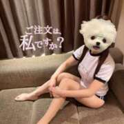 ヒメ日記 2025/08/15 13:47 投稿 せいな キューティーハニー