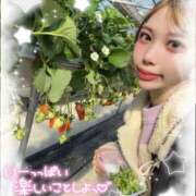 ヒメ日記 2026/02/28 10:31 投稿 せいな キューティーハニー