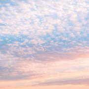 ヒメ日記 2025/08/29 08:58 投稿 ういな ぺろぺろベロベロ専科 ぺろんちょ