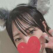 ヒメ日記 2025/10/29 14:25 投稿 ういな ぺろぺろベロベロ専科 ぺろんちょ