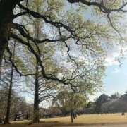 ヒメ日記 2025/06/15 20:26 投稿 かほ CECIL