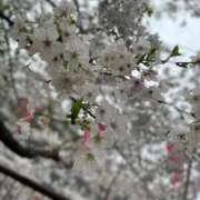 ヒメ日記 2026/04/04 06:58 投稿 まりな 熟女の風俗最終章 高崎店