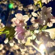 ヒメ日記 2025/07/08 16:20 投稿 ななえ 新小岩デリヘル ラブセレクション