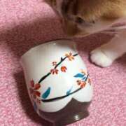 ななえ *:.＊.:｡満員御礼｡:*.＊.:* 新小岩デリヘル ラブセレクション