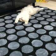 ななえ 本日0時40分からっ 新小岩デリヘル ラブセレクション