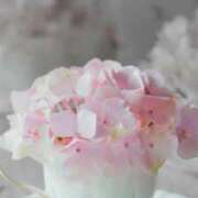 ヒメ日記 2025/06/10 17:33 投稿 りんか 広島回春性感マッサージ倶楽部