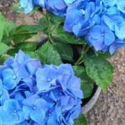 ヒメ日記 2025/06/13 14:19 投稿 りんか 広島回春性感マッサージ倶楽部