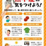 ヒメ日記 2025/07/20 11:19 投稿 りんか 広島回春性感マッサージ倶楽部