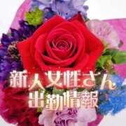 ヒメ日記 2025/08/29 18:59 投稿 りんか 広島回春性感マッサージ倶楽部