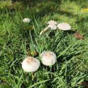 ヒメ日記 2025/09/14 20:49 投稿 りんか 広島回春性感マッサージ倶楽部