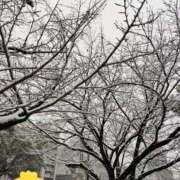 ヒメ日記 2026/02/08 17:29 投稿 りんか 広島回春性感マッサージ倶楽部