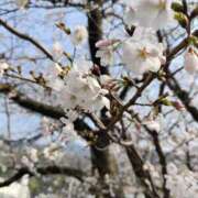 ヒメ日記 2026/03/28 19:59 投稿 りんか 広島回春性感マッサージ倶楽部