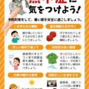 ヒメ日記 2026/07/14 13:09 投稿 りんか 広島回春性感マッサージ倶楽部