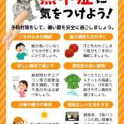 ヒメ日記 2026/07/30 14:09 投稿 りんか 広島回春性感マッサージ倶楽部