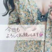 ヒメ日記 2025/08/13 08:39 投稿 しいな 広島回春性感マッサージ倶楽部