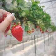 ヒメ日記 2025/06/07 23:17 投稿 あや 横浜Cute