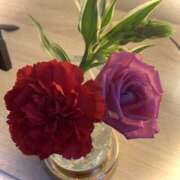 ヒメ日記 2025/05/09 14:00 投稿 羽乃/うの 五反田アネージュ（ユメオト）