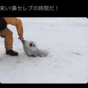 ヒメ日記 2025/05/23 00:12 投稿 羽乃/うの 五反田アネージュ（ユメオト）