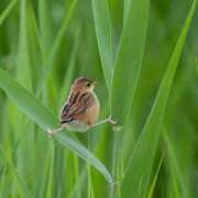 ヒメ日記 2025/12/25 11:46 投稿 羽乃/うの 五反田アネージュ（ユメオト）