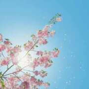 ヒメ日記 2026/03/22 17:32 投稿 羽乃/うの 五反田アネージュ（ユメオト）