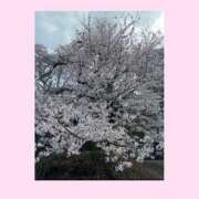 ヒメ日記 2026/03/31 01:08 投稿 羽乃/うの 五反田アネージュ（ユメオト）