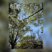 ヒメ日記 2026/04/03 12:21 投稿 羽乃/うの 五反田アネージュ（ユメオト）