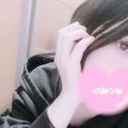 ココミ(奥方) 安いよ〜 奥様幕府