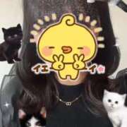 ヒメ日記 2025/10/14 23:41 投稿 すみれ 淫乱痴女エステ新宿店