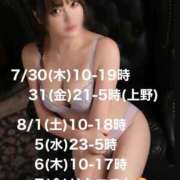 ヒメ日記 2026/07/30 13:50 投稿 すみれ 淫乱痴女エステ　上野店