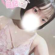 ヒメ日記 2025/06/17 11:01 投稿 まさ プレミアム(福原)