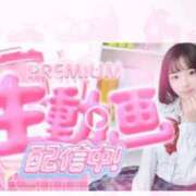 ヒメ日記 2025/12/06 15:41 投稿 まさ プレミアム(福原)