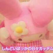 ヒメ日記 2025/07/09 02:28 投稿 うに ラズベリードール