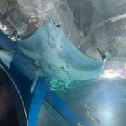 ヒメ日記 2025/06/02 01:56 投稿 あいちゃん イクイクサークル鶯谷店