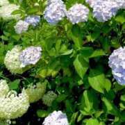 ヒメ日記 2025/06/04 23:36 投稿 あいちゃん イクイクサークル鶯谷店