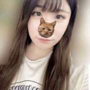 ヒメ日記 2025/05/11 19:52 投稿 ゆい クレイジーキャバクラ パニック