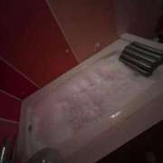 真白(ましろ) (ˆ .  ̫ . )" チューリップ宇都宮店