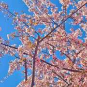 ヒメ日記 2026/03/16 17:10 投稿 れな 愛知三河安城岡崎ちゃんこ