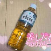 れな お礼日記💌 愛知三河安城岡崎ちゃんこ
