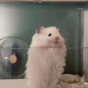 ヒメ日記 2025/09/14 14:45 投稿 結城　こはく☆未経験妖艶美女 ～地元厳選美女がお出迎え～私の部屋にキテネ！トレビの泉