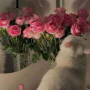 ヒメ日記 2025/10/02 23:05 投稿 結城　こはく☆未経験妖艶美女 ～地元厳選美女がお出迎え～私の部屋にキテネ！トレビの泉