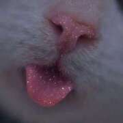 ヒメ日記 2025/10/25 00:28 投稿 結城　こはく☆未経験妖艶美女 ～地元厳選美女がお出迎え～私の部屋にキテネ！トレビの泉