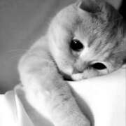 ヒメ日記 2025/11/25 16:20 投稿 結城　こはく☆未経験妖艶美女 ～地元厳選美女がお出迎え～私の部屋にキテネ！トレビの泉