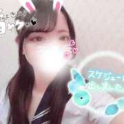 ヒメ日記 2026/03/13 12:27 投稿 あゆむ ビデオdeはんど 熊本校