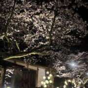 ヒメ日記 2026/04/02 16:37 投稿 あゆむ ビデオdeはんど熊本校（アクセスグループ）