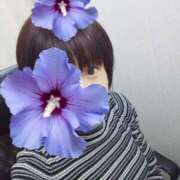 ヒメ日記 2025/05/06 12:28 投稿 美衣(みい) PLUS十三店